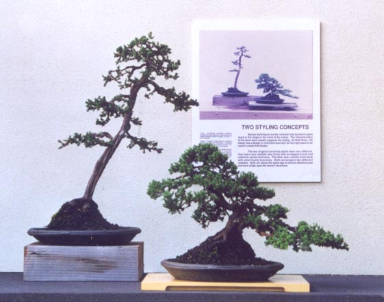 Two Styling Concepts.jpg (43496 bytes)