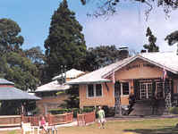 kilauea lodge.jpg (22568 bytes)