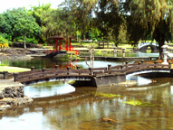 liliukalani gardens.jpg (23456 bytes)