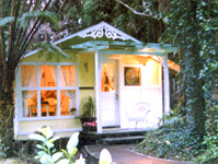 volcano carsons cottages.jpg (26551 bytes)