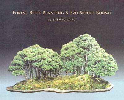 Kato book cover.jpg (34379 bytes)