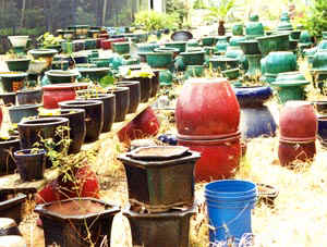Liew5Pots2.jpg (30322 bytes)