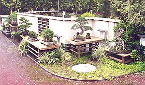 FBC display.jpg (30850 bytes)