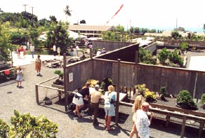 FBC kona festival.jpg (23117 bytes)