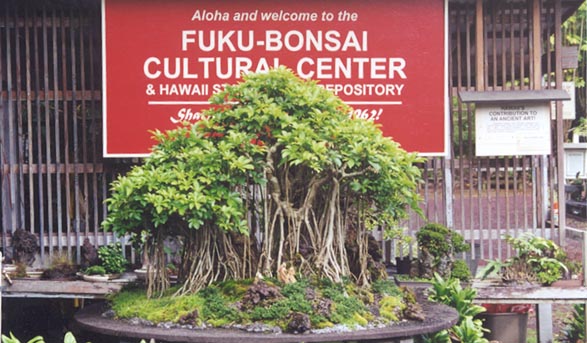 Hui Hanalike.jpg (61929 bytes)