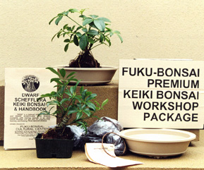 prem keiki workshp pkg.jpg (41950 bytes)