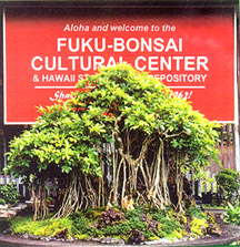 FBC Entry Tree 3inch square 72dpi.jpg (40130 bytes)