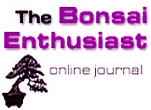 TBE Journal logo.jpg (10068 bytes)